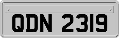 QDN2319