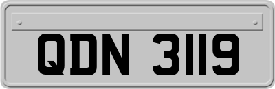 QDN3119