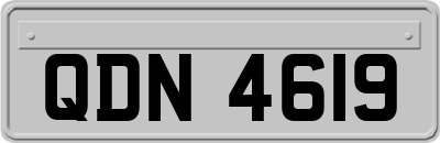 QDN4619