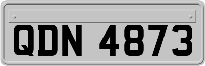 QDN4873