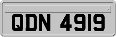 QDN4919