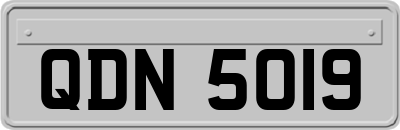 QDN5019