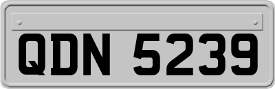 QDN5239