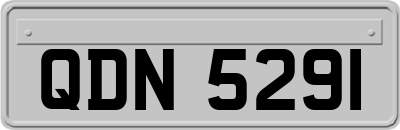 QDN5291