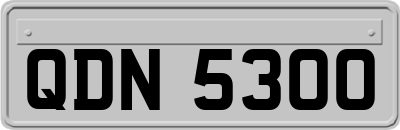QDN5300