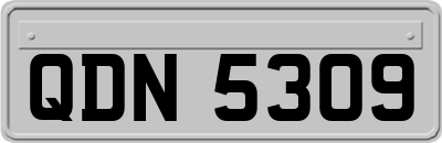 QDN5309