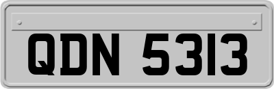 QDN5313
