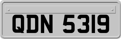 QDN5319