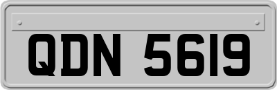 QDN5619