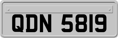 QDN5819