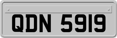 QDN5919