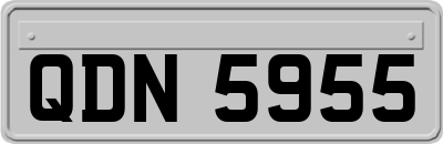 QDN5955