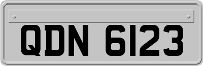 QDN6123