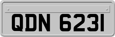 QDN6231