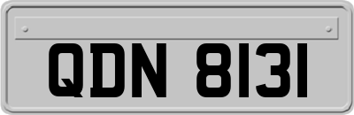 QDN8131