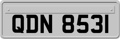 QDN8531