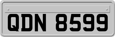 QDN8599