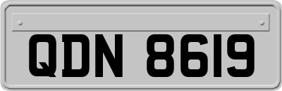 QDN8619