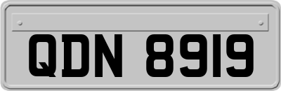 QDN8919