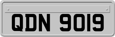 QDN9019