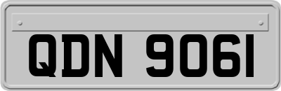 QDN9061