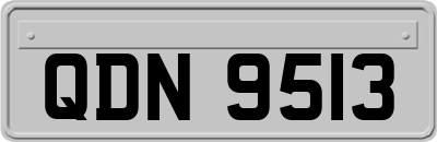 QDN9513