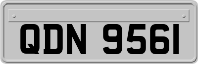 QDN9561