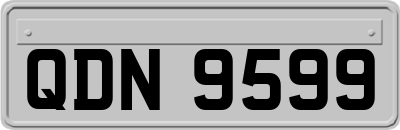 QDN9599