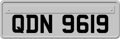 QDN9619