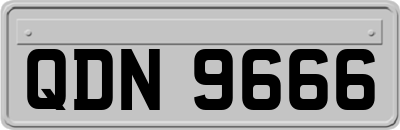 QDN9666