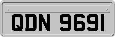 QDN9691