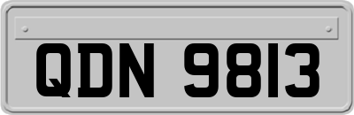 QDN9813
