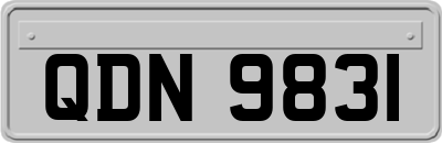 QDN9831