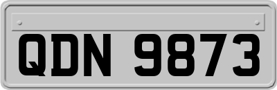 QDN9873
