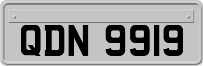 QDN9919