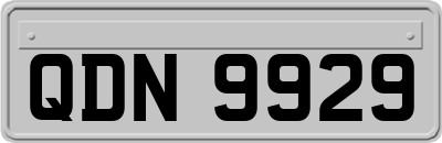 QDN9929