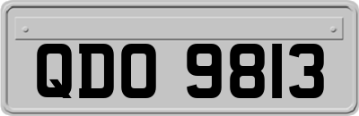QDO9813