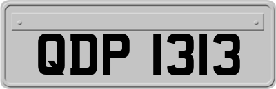 QDP1313