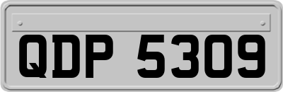 QDP5309