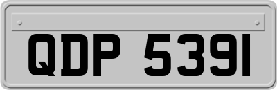 QDP5391