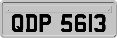 QDP5613