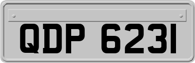 QDP6231
