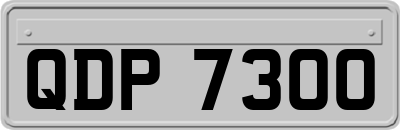 QDP7300