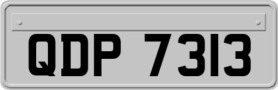 QDP7313