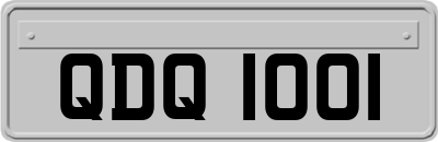 QDQ1001