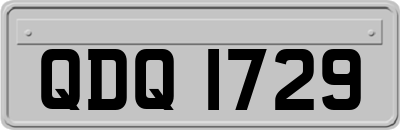 QDQ1729