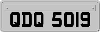 QDQ5019