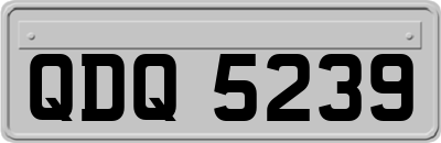 QDQ5239