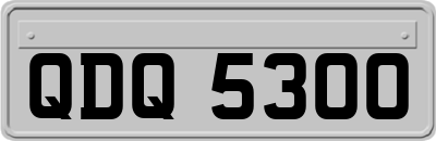 QDQ5300