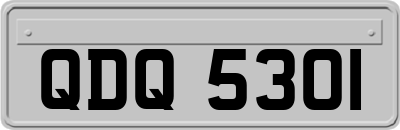 QDQ5301